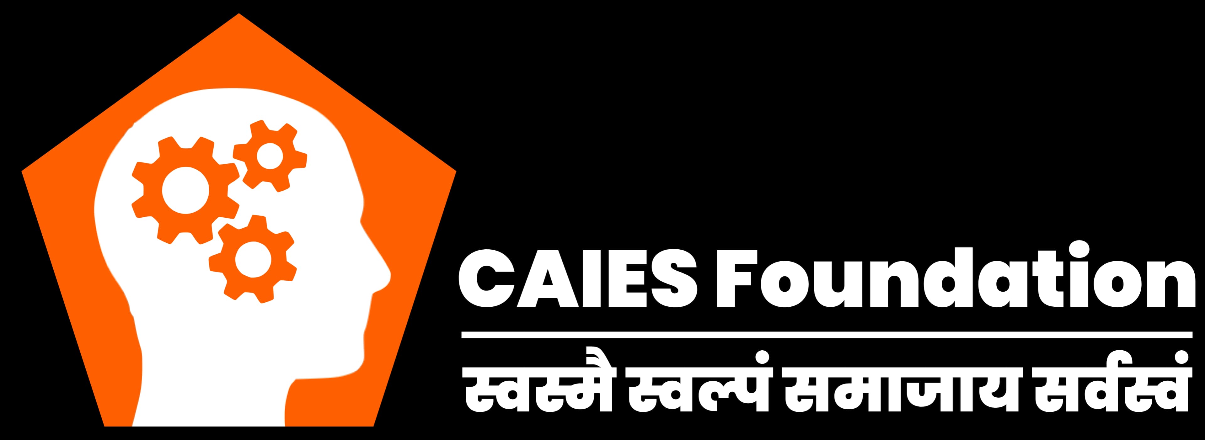 CAIES Foundation Logo