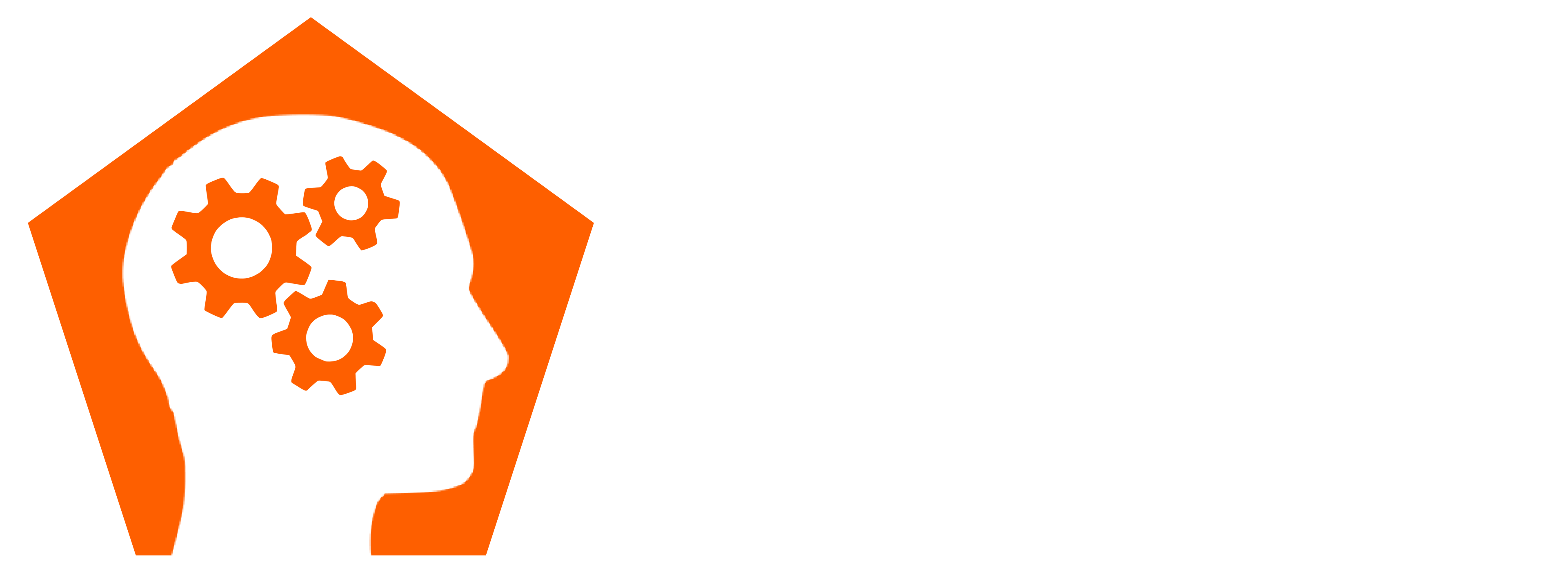 CAIES Foundation Logo
